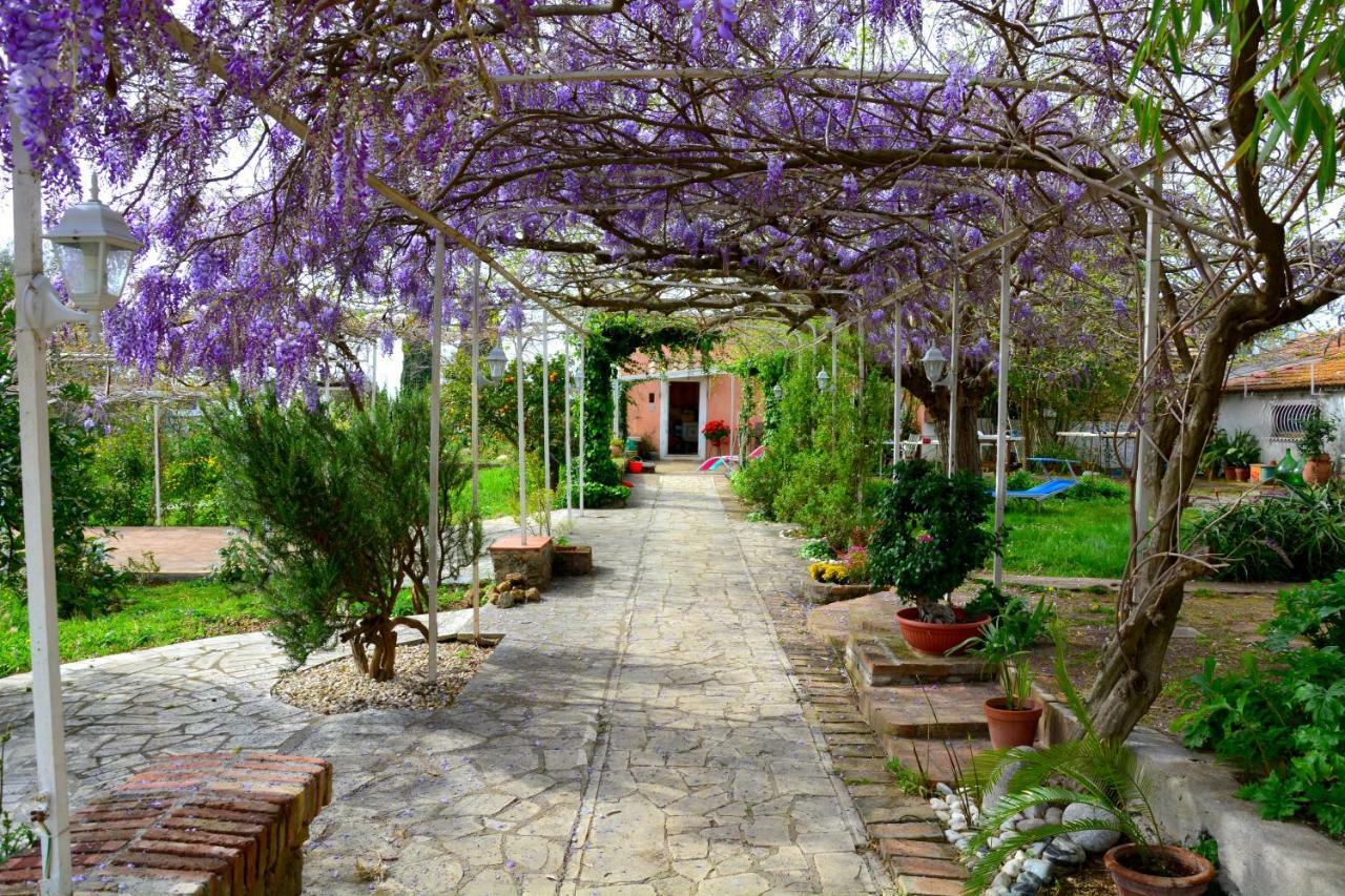 Casale Del Gelso Villa Genzano di Roma Bagian luar foto
