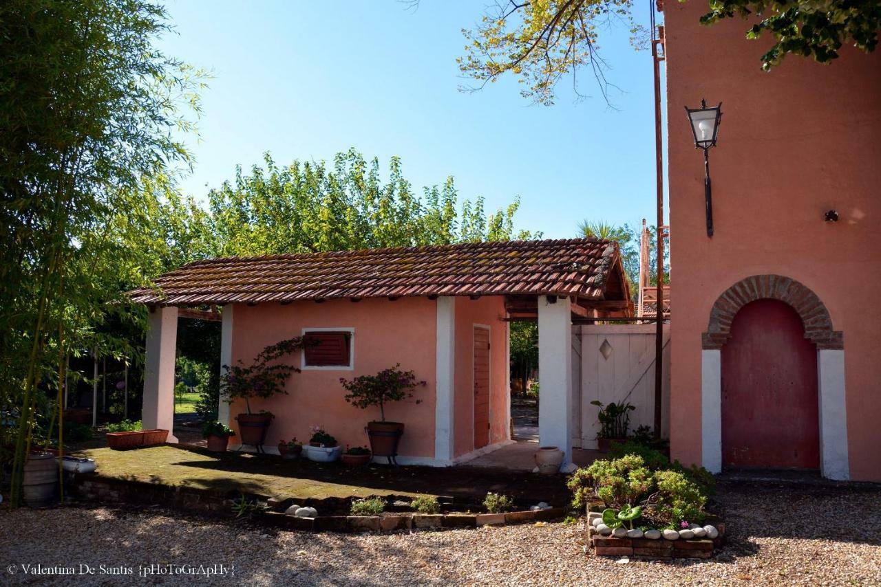 Casale Del Gelso Villa Genzano di Roma Bagian luar foto